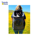 Feline Voyager - Adventure Backpack