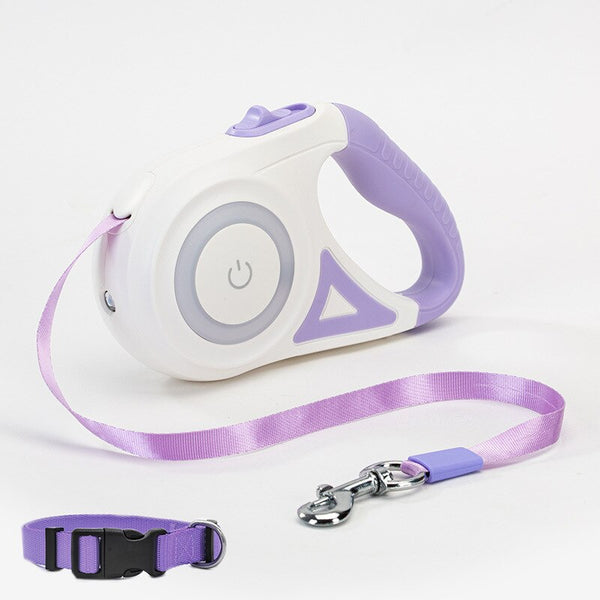 AutoLeash: for Modern Pet Owners