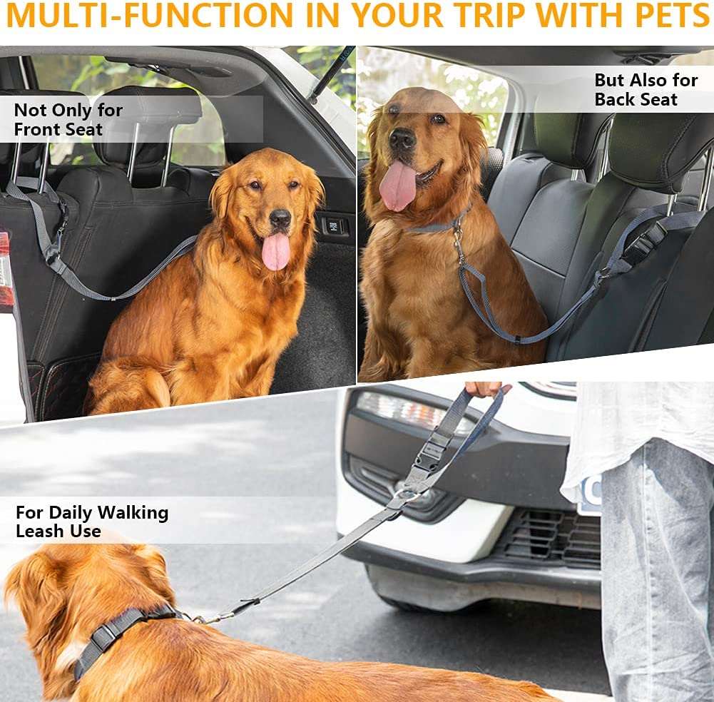 PupPal: The Adjustable Car Leash